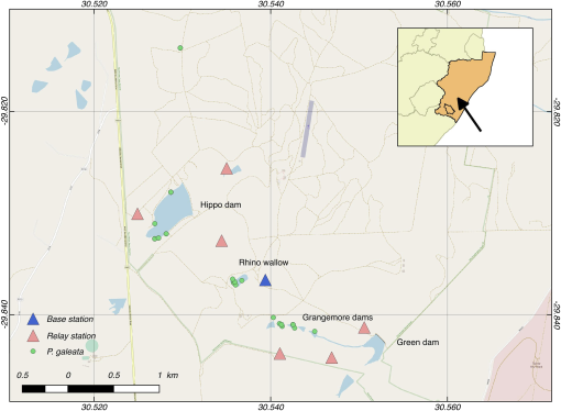 10.1177_19400829221074241-fig2.tif