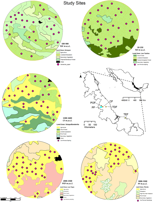 10.1177_19400829221078489-fig1.tif