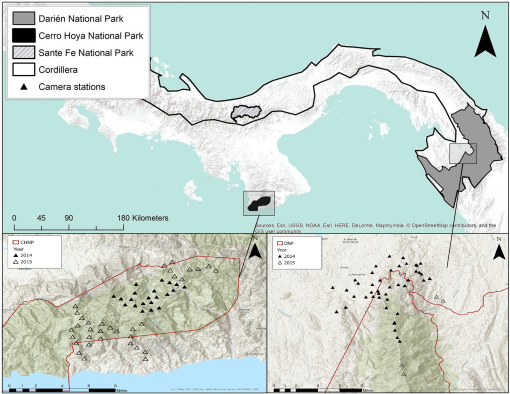 10.1177_19400829221138009-fig1.tif