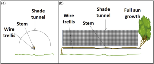 10.1177_19400829231190823-fig2.tif