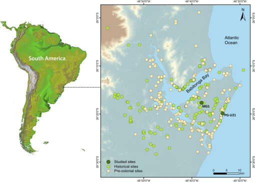 10.1177_19400829231218419-fig1.tif