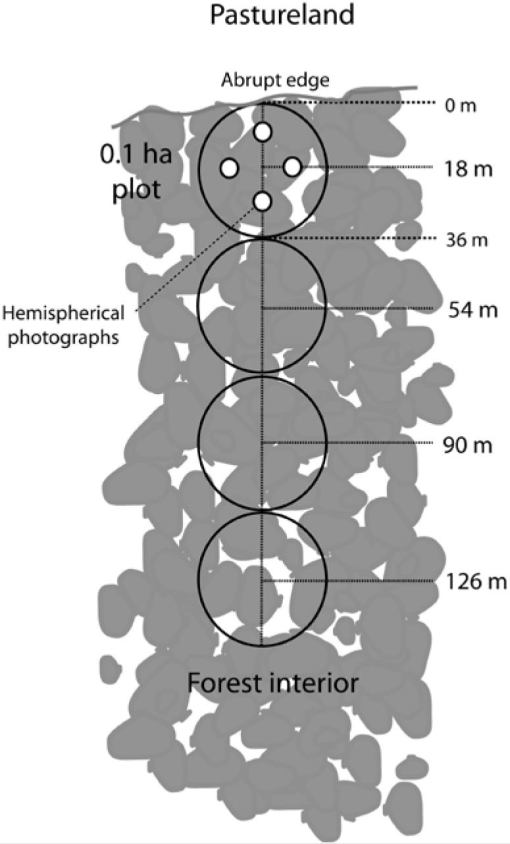 10.1177_194008290900200404-fig2.tif