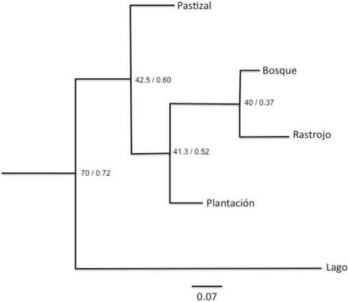 10.1177_194008290900200405-fig4.tif