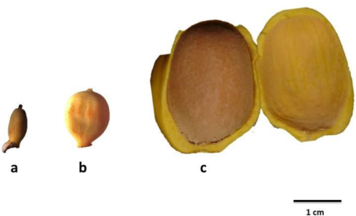 10.1177_194008291300600208-fig3.tif