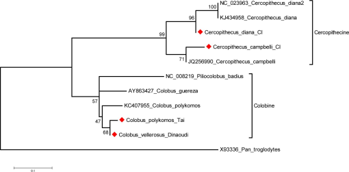 10.1177_194008291400700312-fig3.tif