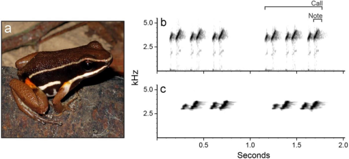 10.1177_194008291400700416-fig6.tif