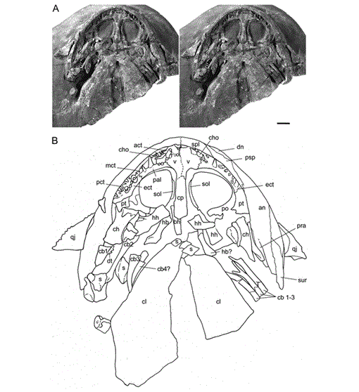 i0272-4634-28-4-935-f05.gif