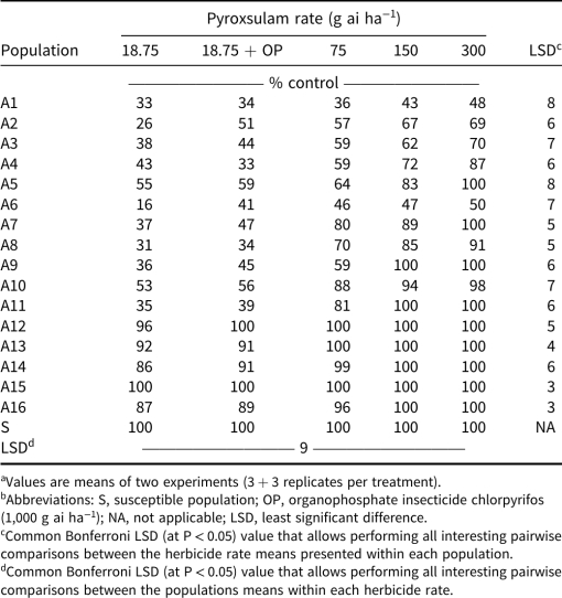 img-z6-2_334.gif