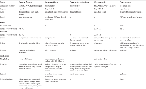 img-z42-1_405.gif