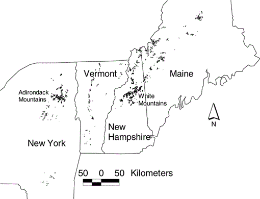 i0043-5643-117-1-1-f02.gif