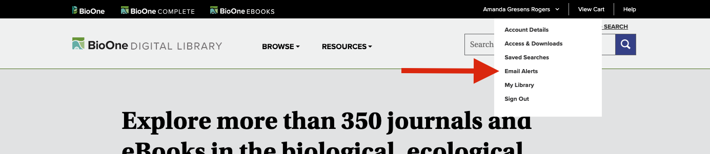 A screenshot of the drop down menu that appears when you click on the arrow next to your account name in the black bar at the top of the screen. A red arrow points to the menu item "Email Alerts."