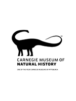 Carnegie Museum of Natural History Logo