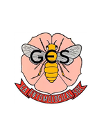 Georgia Entomological Society Logo