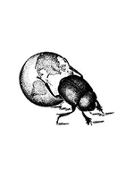 The New York Entomological Society Logo